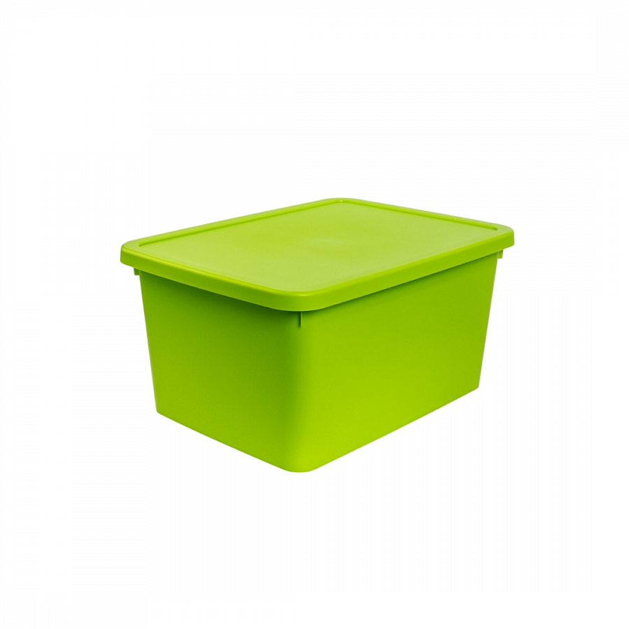 Коробка для хранения STORUM салатовая 20л 42.3x31.1x20.7см с крышкой